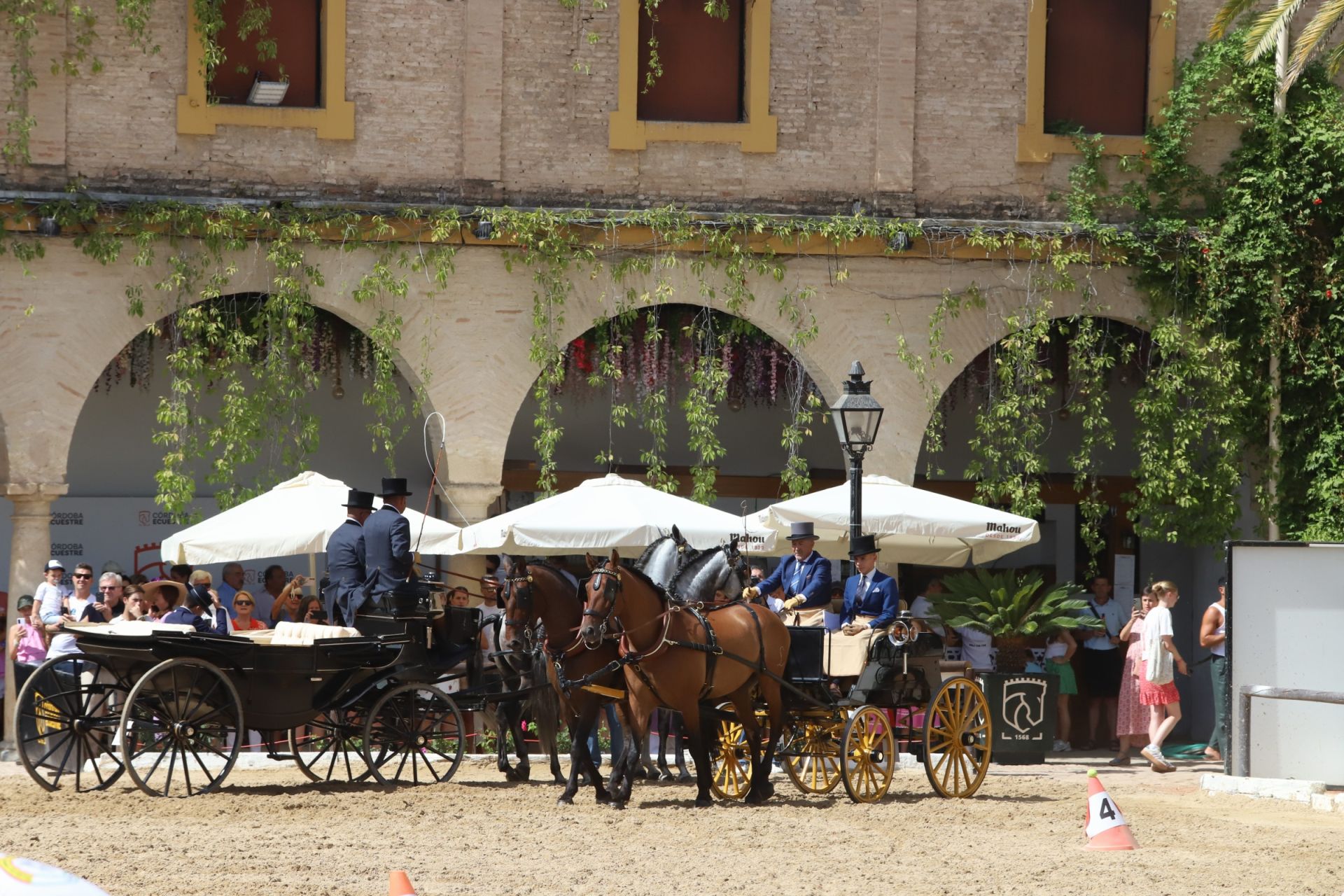 En imágenes, el X Concurso Internacional de Atalaje de Tradición en Córdoba