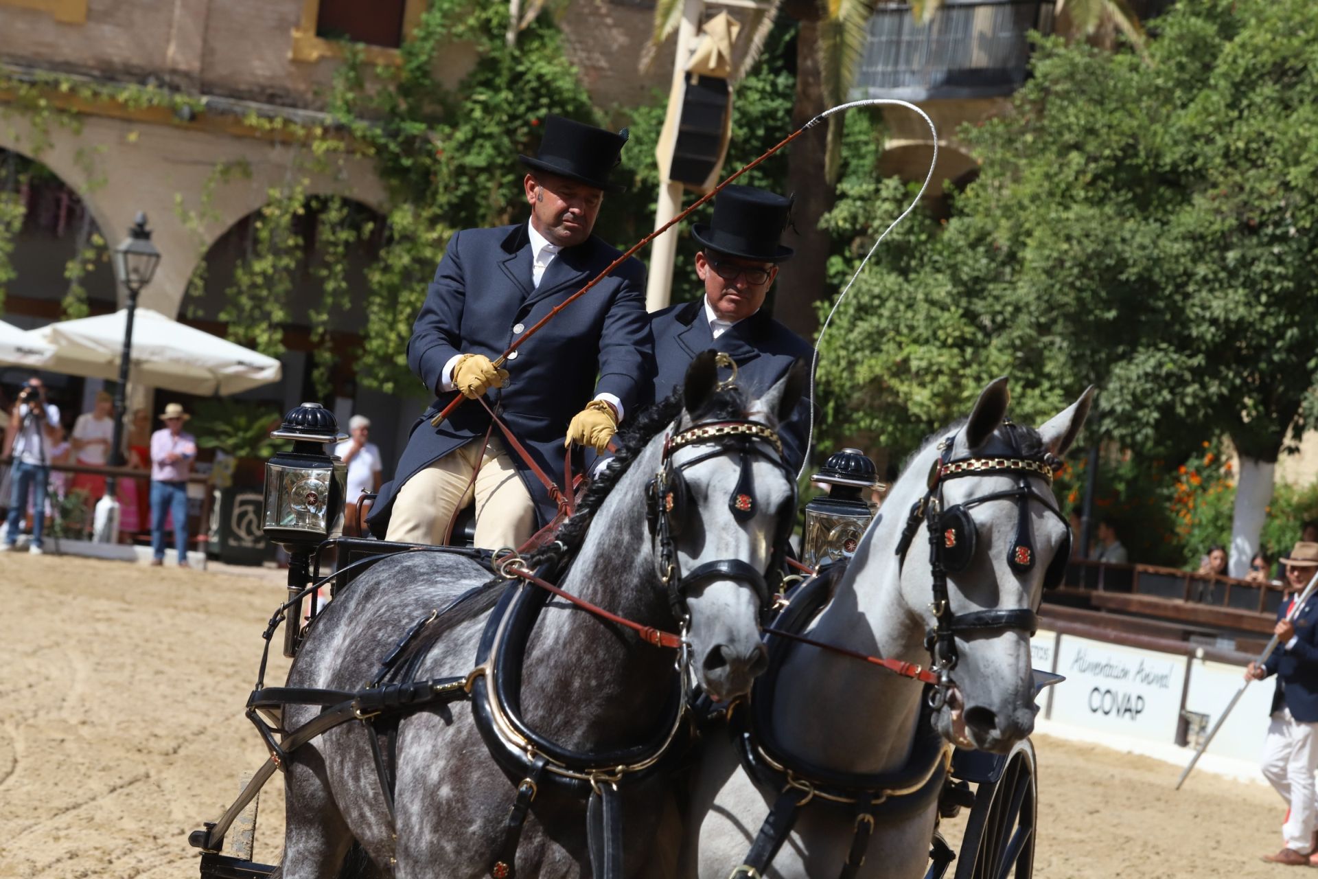 En imágenes, el X Concurso Internacional de Atalaje de Tradición en Córdoba