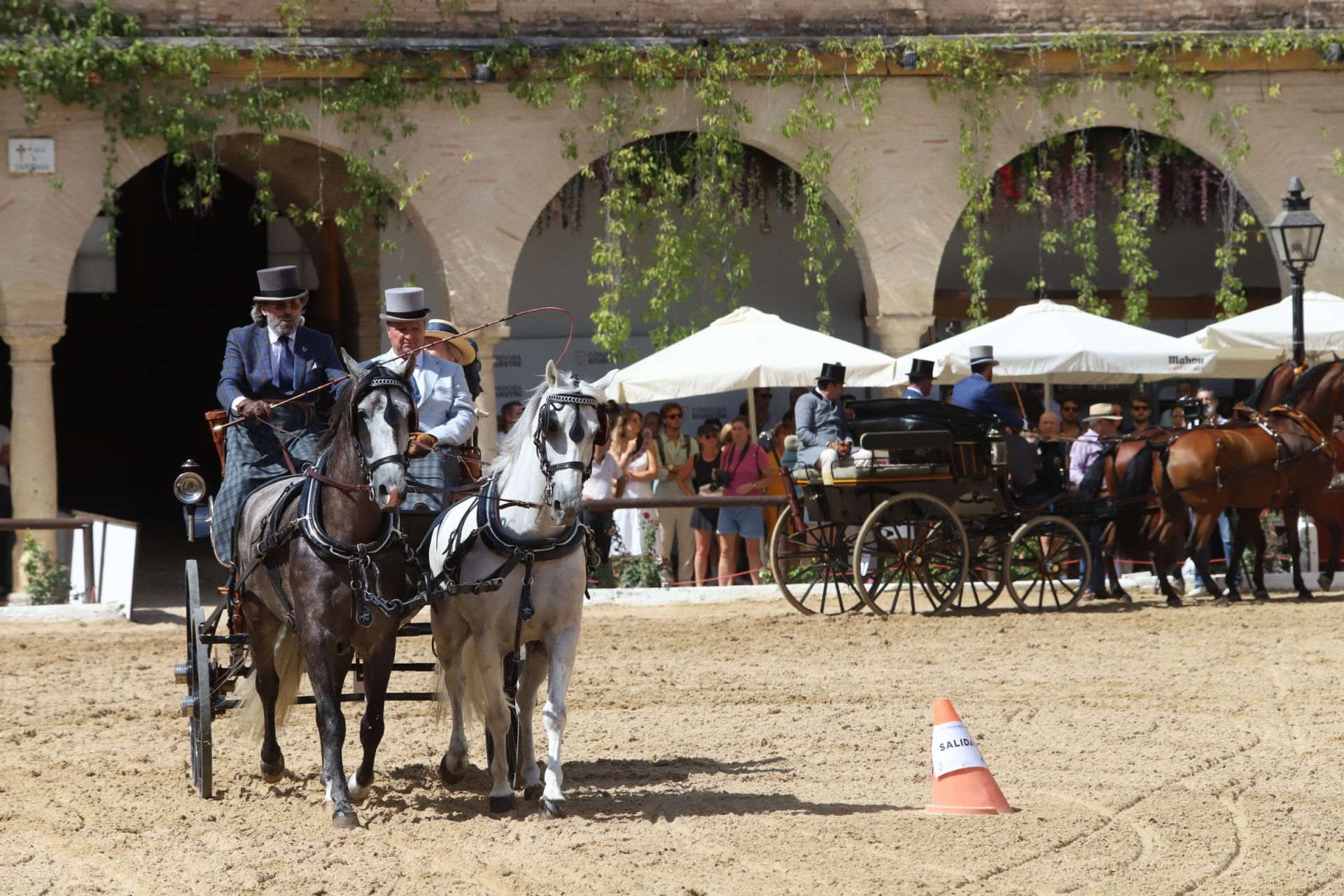 En imágenes, el X Concurso Internacional de Atalaje de Tradición en Córdoba