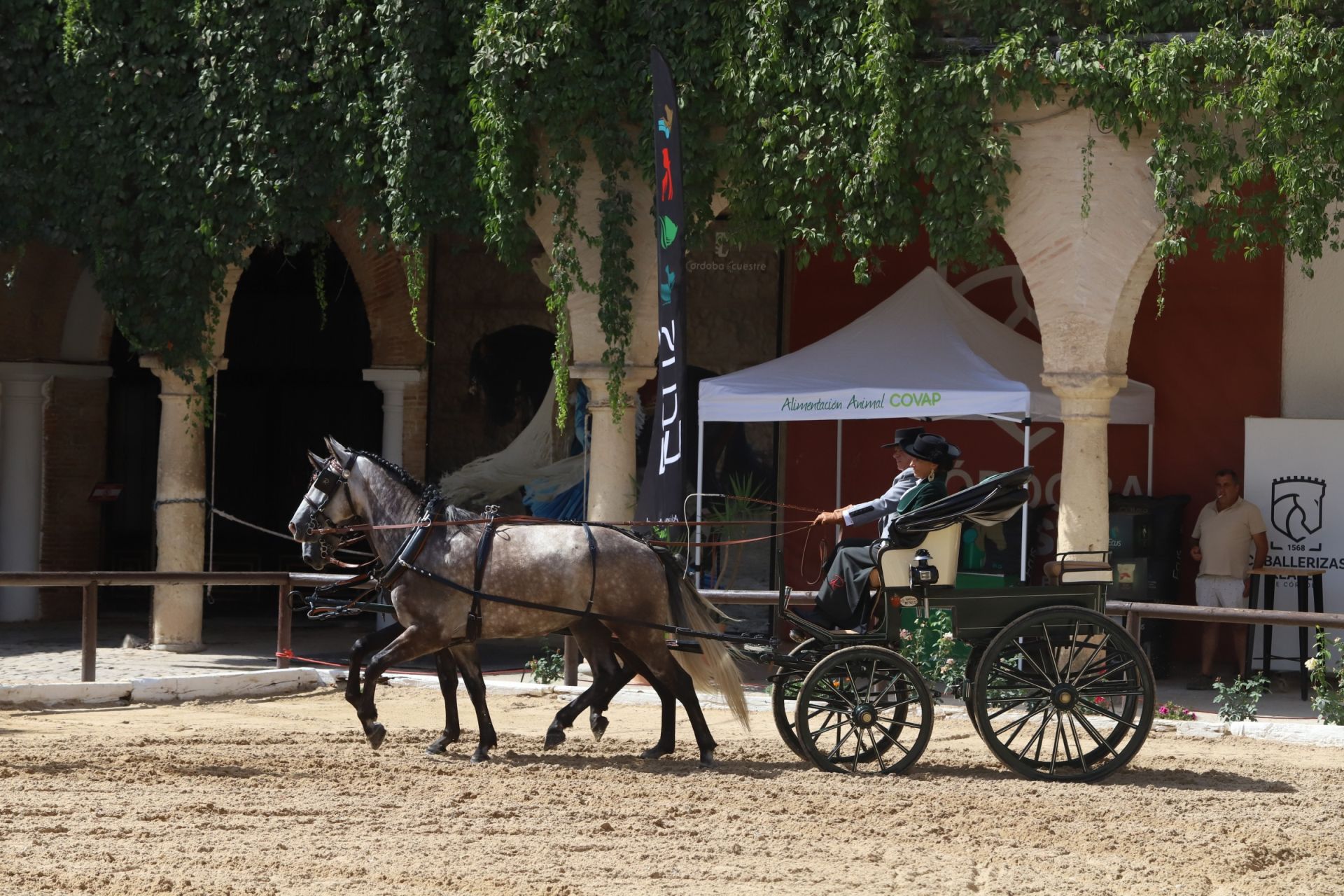 En imágenes, el X Concurso Internacional de Atalaje de Tradición en Córdoba
