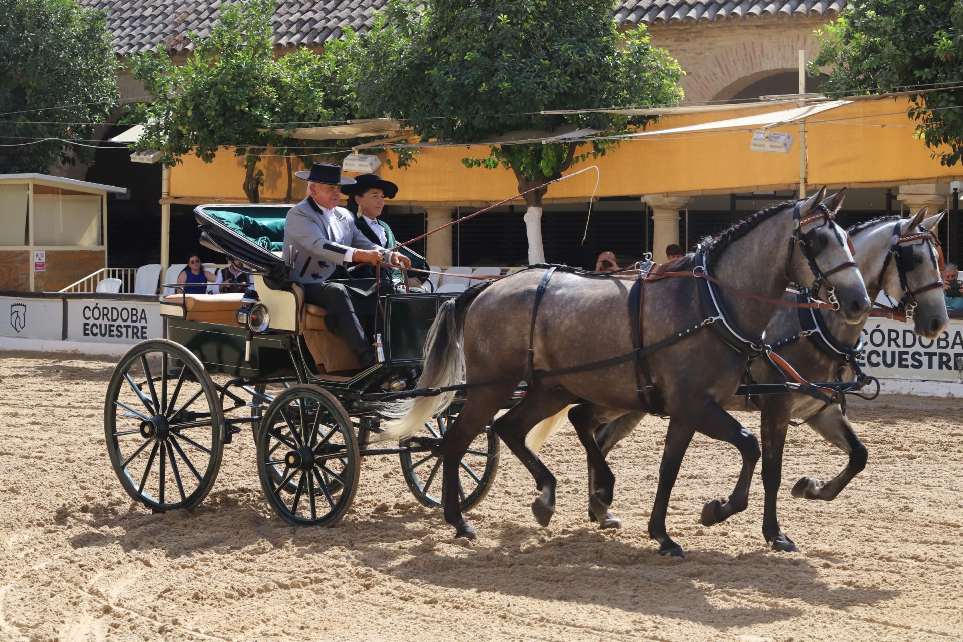 En imágenes, el X Concurso Internacional de Atalaje de Tradición en Córdoba