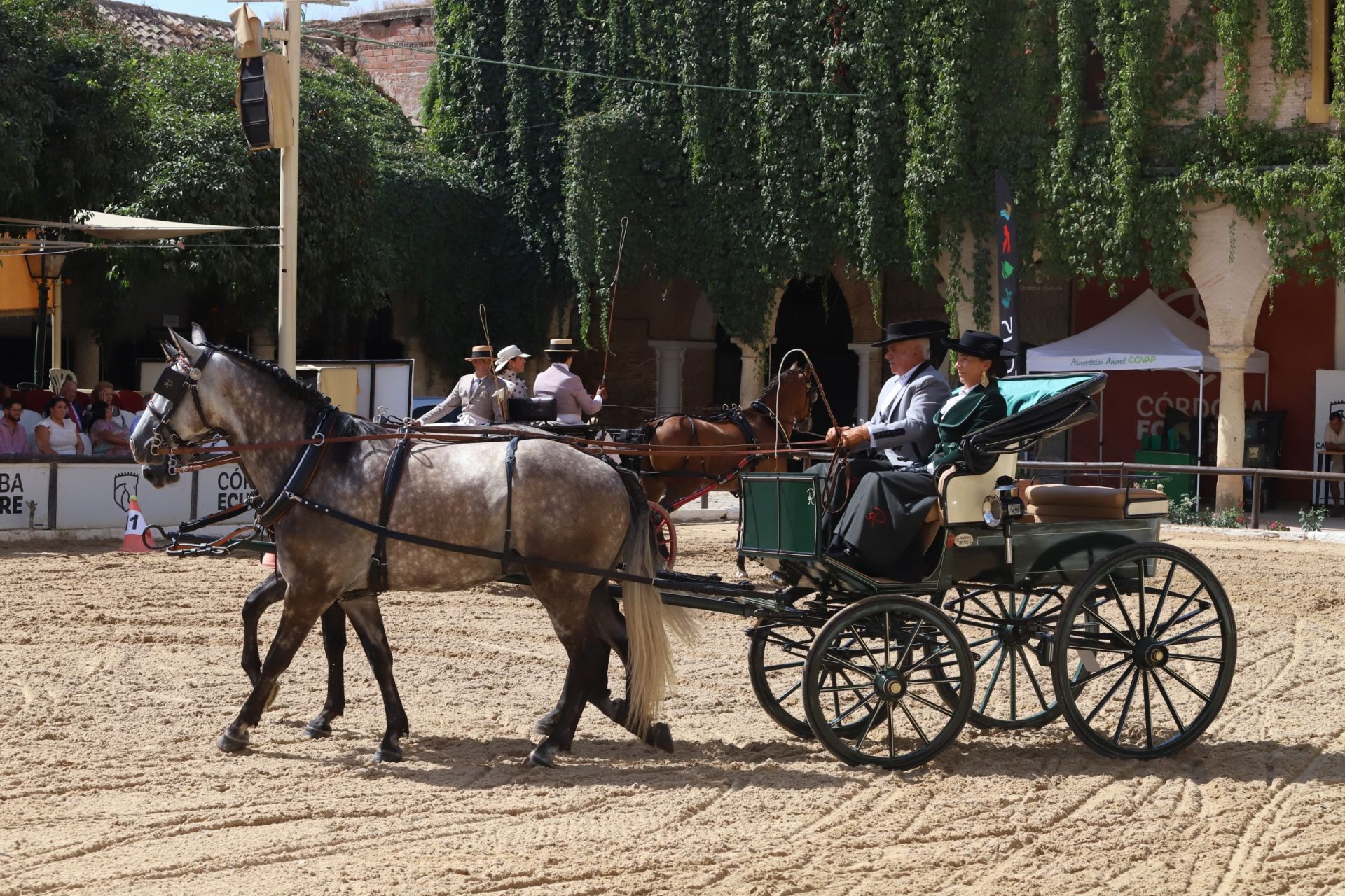 En imágenes, el X Concurso Internacional de Atalaje de Tradición en Córdoba