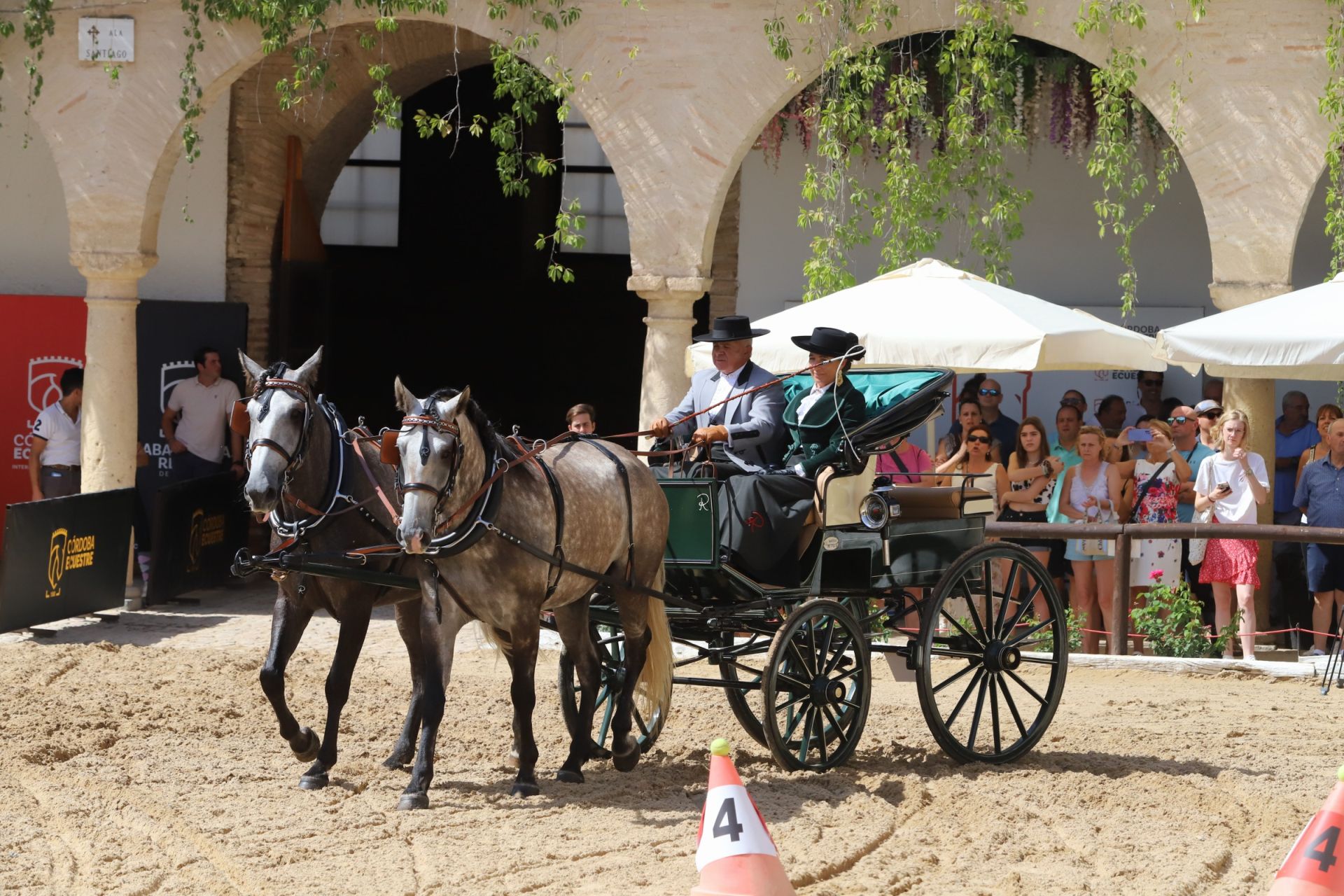 En imágenes, el X Concurso Internacional de Atalaje de Tradición en Córdoba