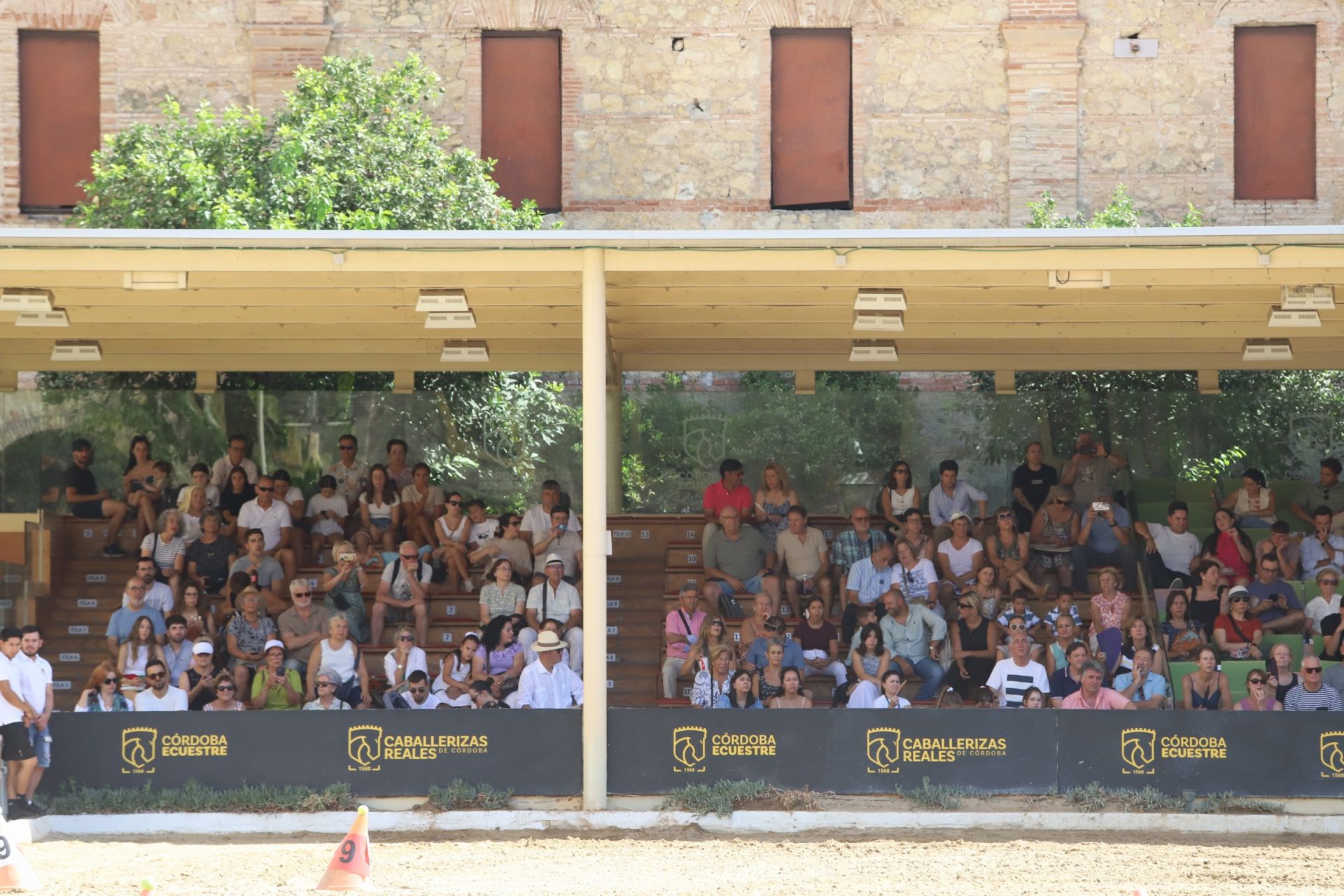 En imágenes, el X Concurso Internacional de Atalaje de Tradición en Córdoba