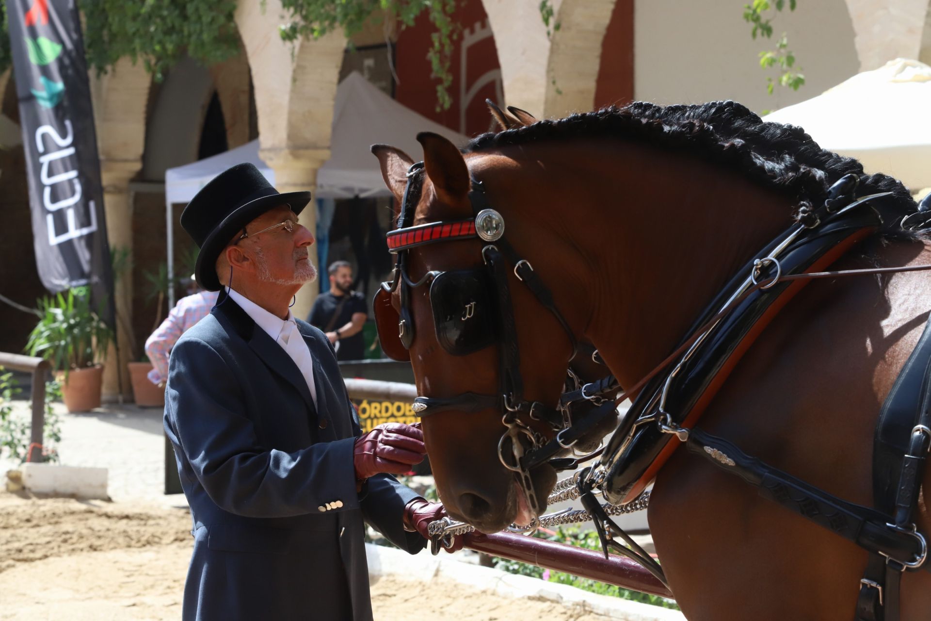 En imágenes, el X Concurso Internacional de Atalaje de Tradición en Córdoba