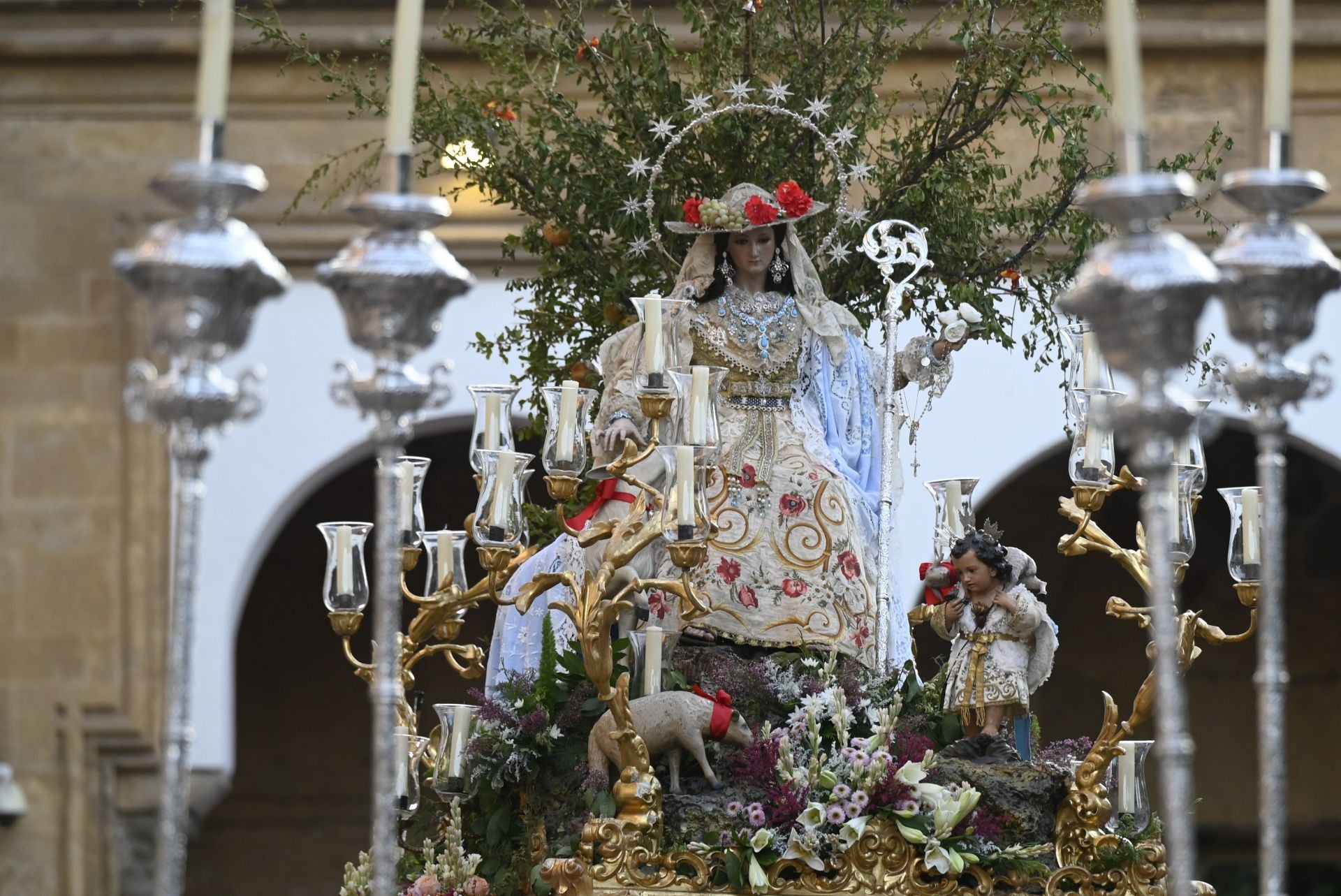 La procesión triunfal de la Divina Pastora desde la Catedral de Córdoba, en imágenes