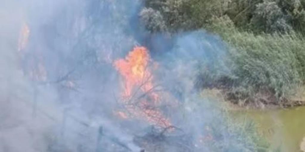 Investigado en Palma del Río por provocar tres incendios forestales en agosto