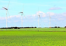 El macrojuicio de los parques eólicos sienta a 14 acusados en el banquillo