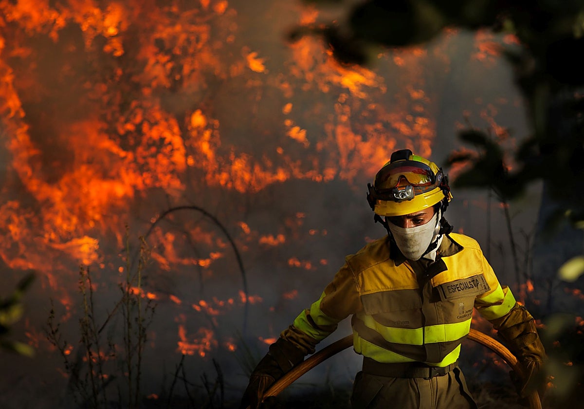 El operativo actúa en el incendio de El Payo (Salamanca)