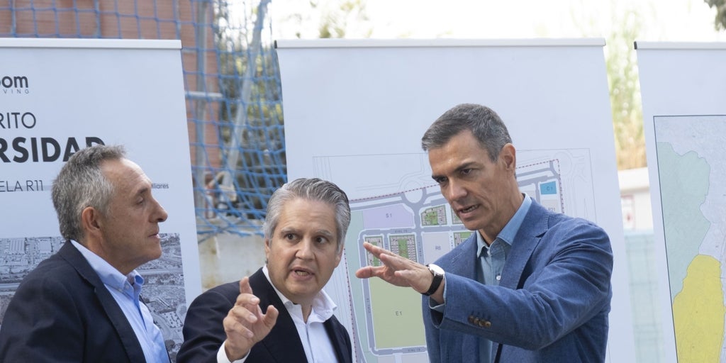 La Junta desmiente a Pedro Sánchez: «Las viviendas que pretende sacar del registro no son ilegales»