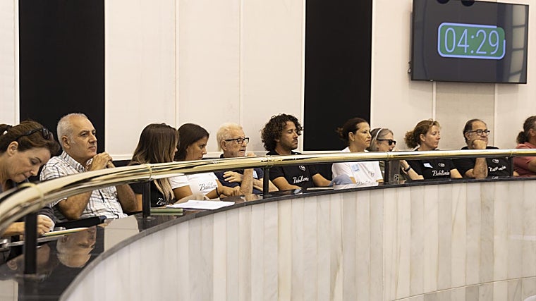 Afectados por los derribos, durante la última sesión plenaria de la Diputación de Alicante