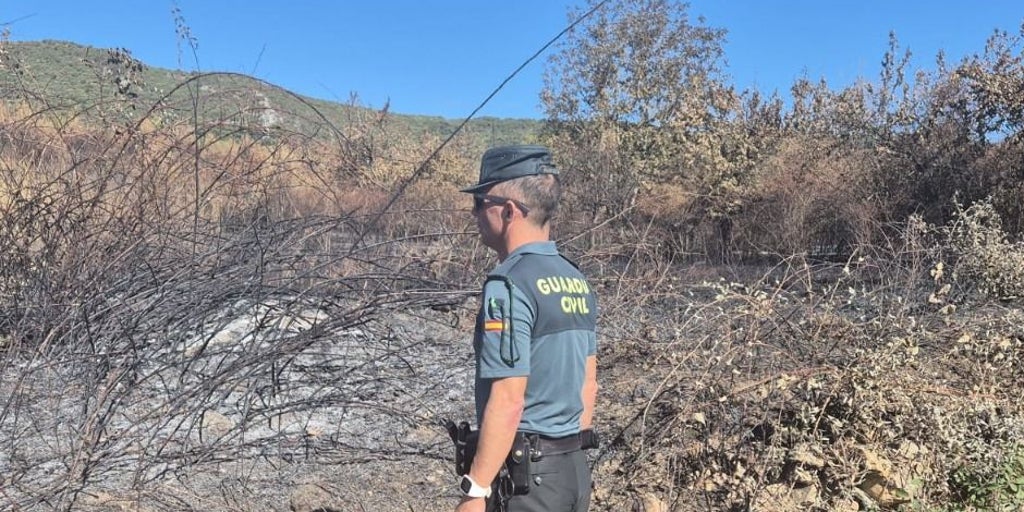 Detenido en León un presunto pirómano que habría prendido con mechero el fuego de San Juan de Paluezas