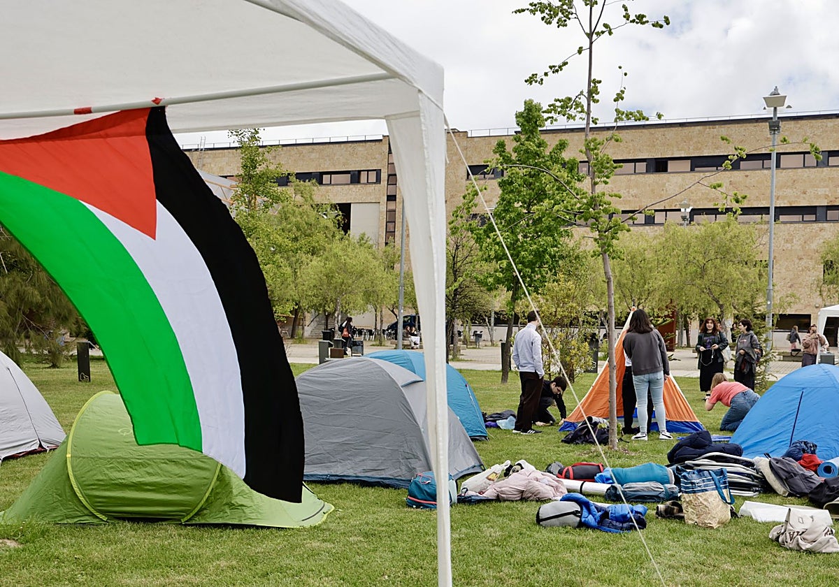 Acampada en el campus Miguel de Unamuno de la Universidad de Salamanca de estudiantes pro Palestina, en una imagen de archivo