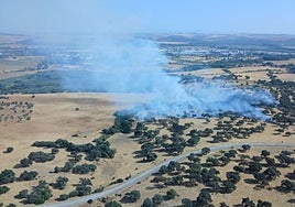 Estabilizado el incendio declarado en Córdoba en el paraje de La Colina