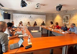 Nueva reunión con la Mesa del Tercer Sector, un espacio de diálogo sobre la inclusión social en Castilla-La Mancha