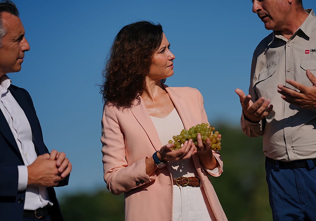 Isabel Díaz Ayuso, durante su visita a la finca El Encín
