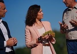 Madrid recupera su vino 'institucional' Encinero, y estrena la variedad de blanco