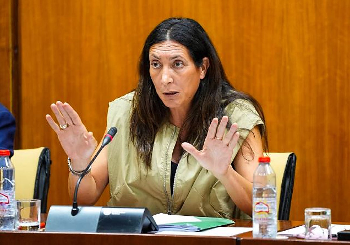 La consejera Loles López, en una comisión parlamentaria