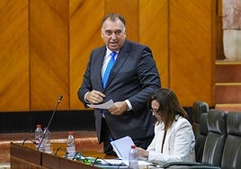 La Junta de Andalucía ha cancelado hasta septiembre más de 10.500 viviendas turísticas