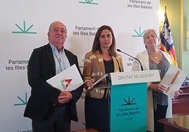 Ex diputados acusan a Vox de desviar fondos al aparato nacional y urdir un adelanto electoral para «dinamitar» la legislatura de Prohens