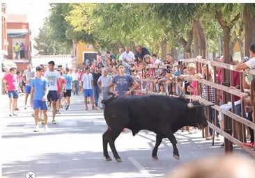 Herido un hombre en el escroto tras ser alcanzado por un toro en los encierros de Almodóvar del Campo (Ciudad Real)
