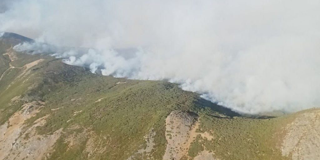 Una treintena de medios aéreos y terrestres luchan contra un incendio forestal en Pendilla de Arbás (León)
