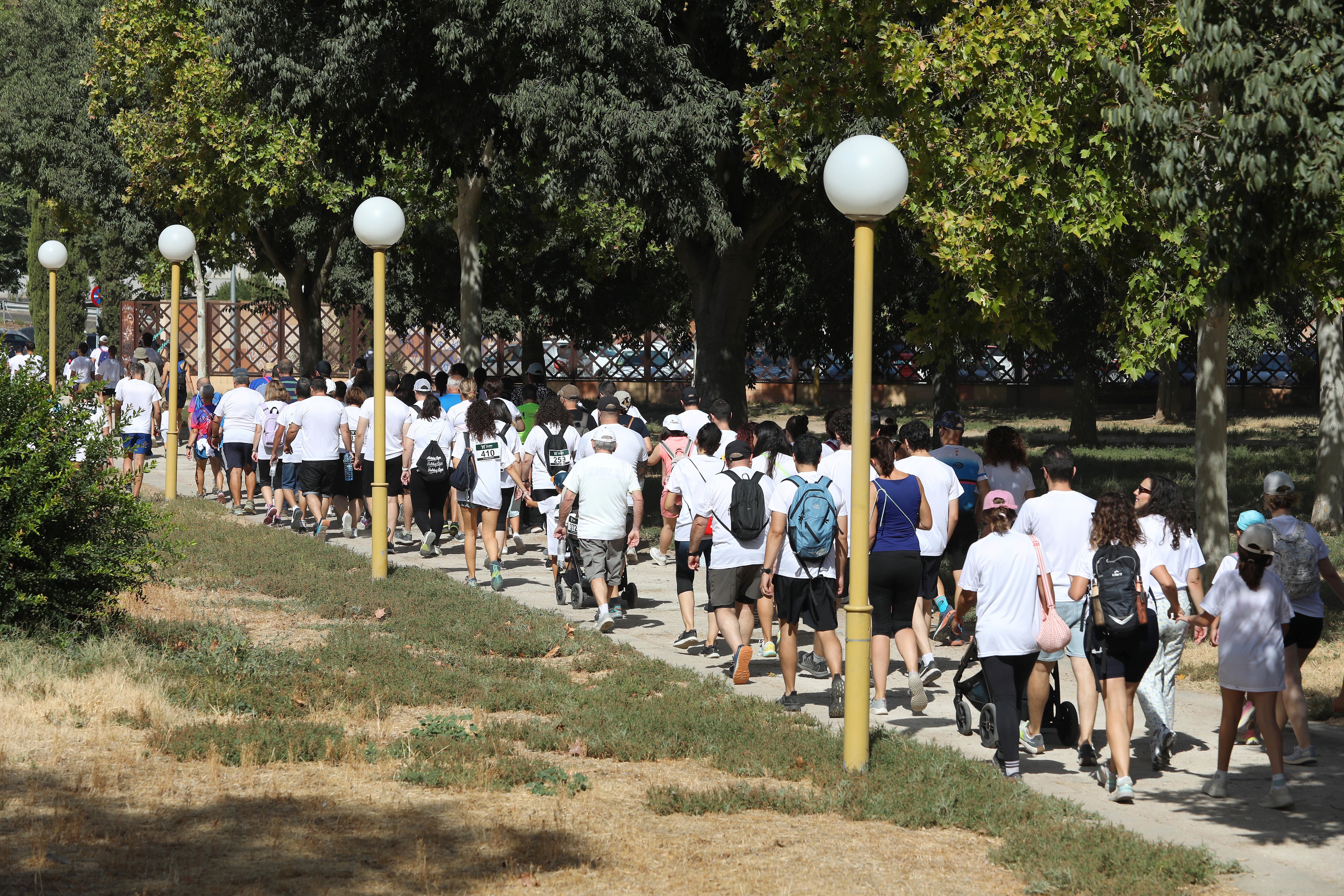 La ciudad se vuelca con la marcha y el cross solidarios de Down Toledo