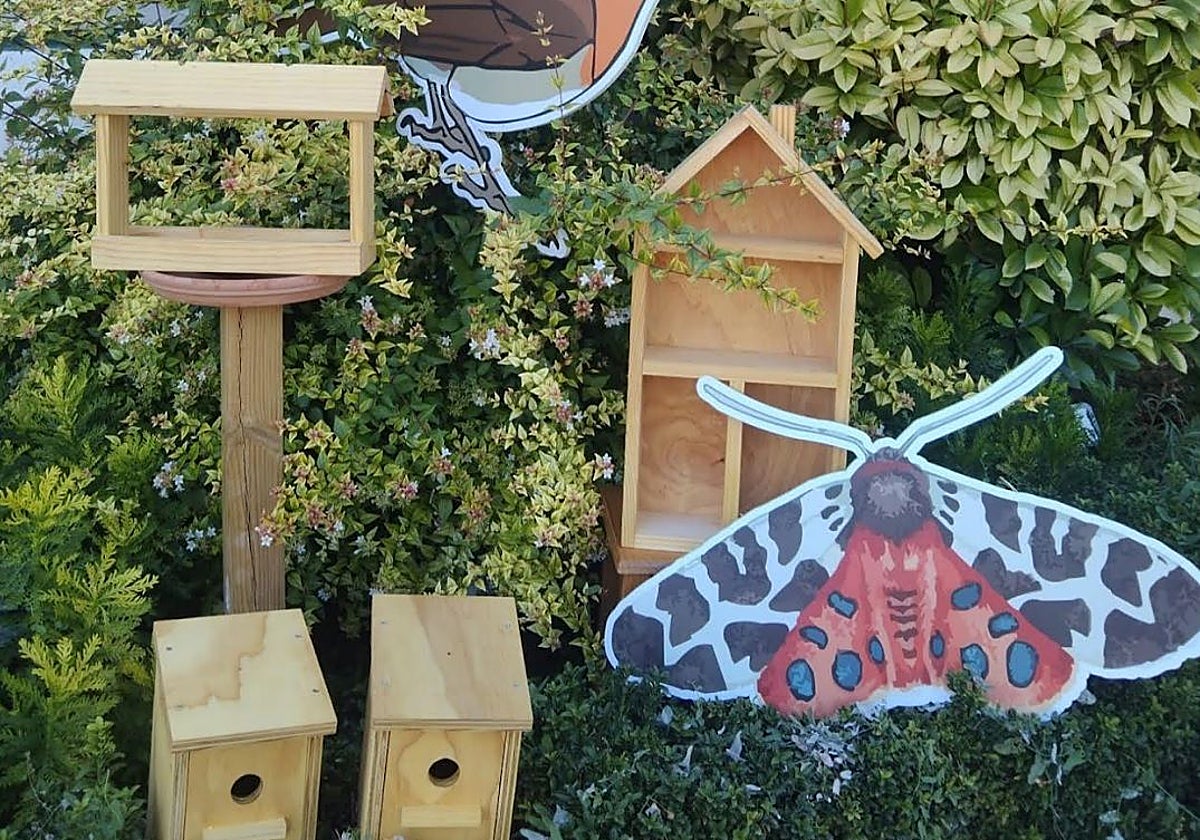 &#039;Patios Vivos&#039;, un programa de la Diputación de Toledo para fomentar el contacto de los escolares con la naturaleza