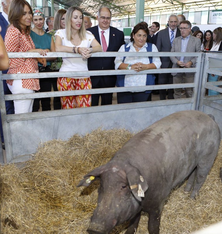 Autoridades presentes en la Feria 2024