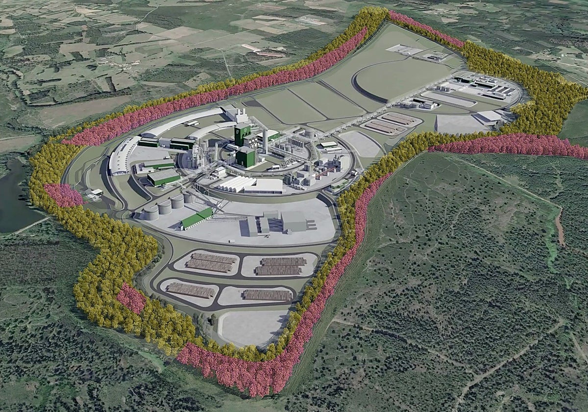 Representación del proyecto de Altri para el municipio lucense de Palas de Rei