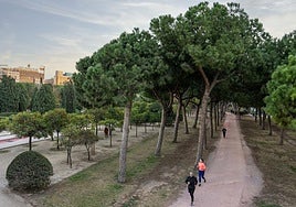 Un ciberataque ruso al Ayuntamiento de Valencia perjudica al sistema de riego del Jardín del Turia
