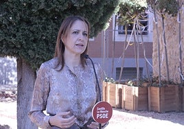 Maestre (PSOE): PP y Vox deben dar la cara ante los agricultores por los recortes en la PAC