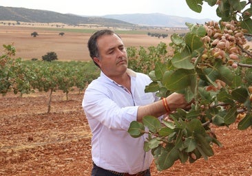 VOX denuncia el «desmantelamiento» de la PAC y acusa a Page de abandonar a los agricultores de Castilla-La Mancha