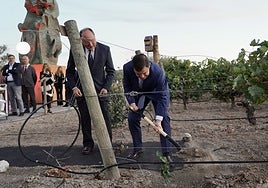 Bodega Emina cumple «30 vendimias» con la mirada puesta en el futuro