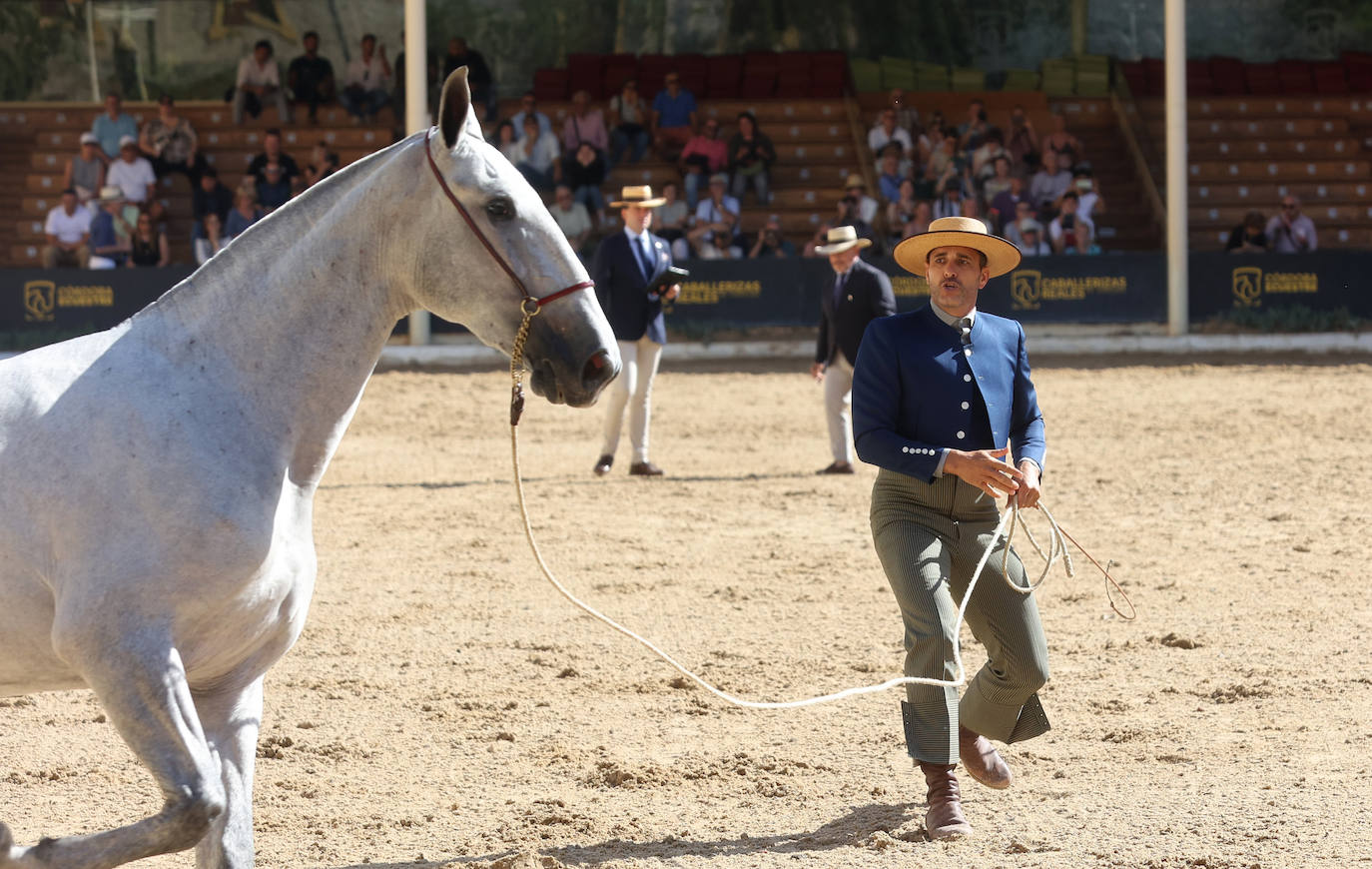 El Concurso Morfológico de caballos &#039;Ciudad de Córdoba&#039;, en imágenes