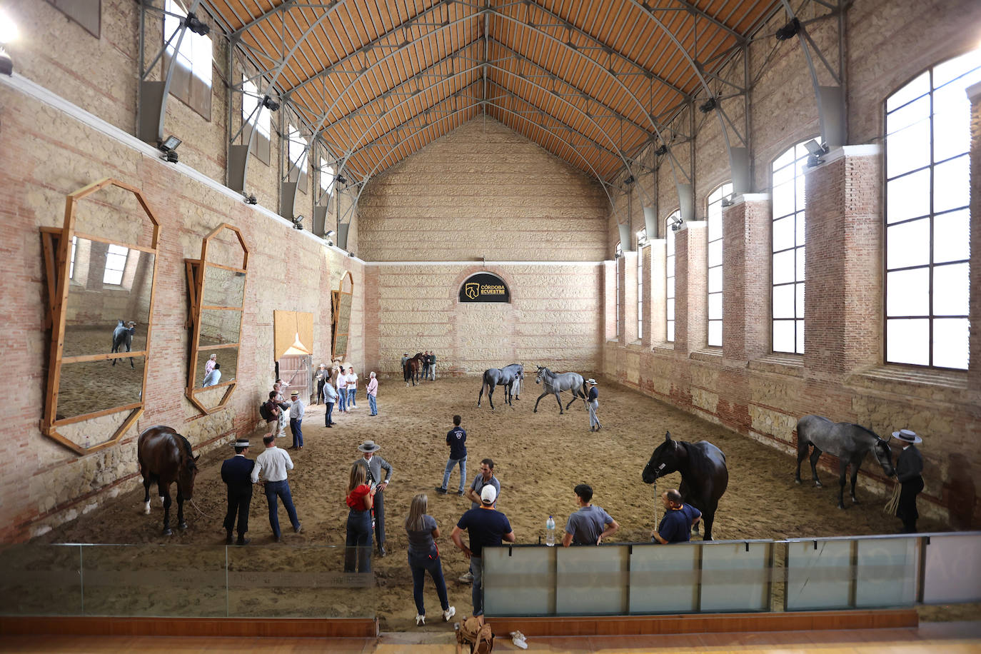 El Concurso Morfológico de caballos &#039;Ciudad de Córdoba&#039;, en imágenes