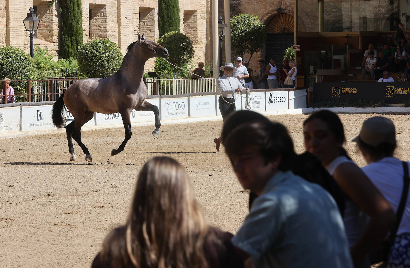 El Concurso Morfológico de caballos &#039;Ciudad de Córdoba&#039;, en imágenes