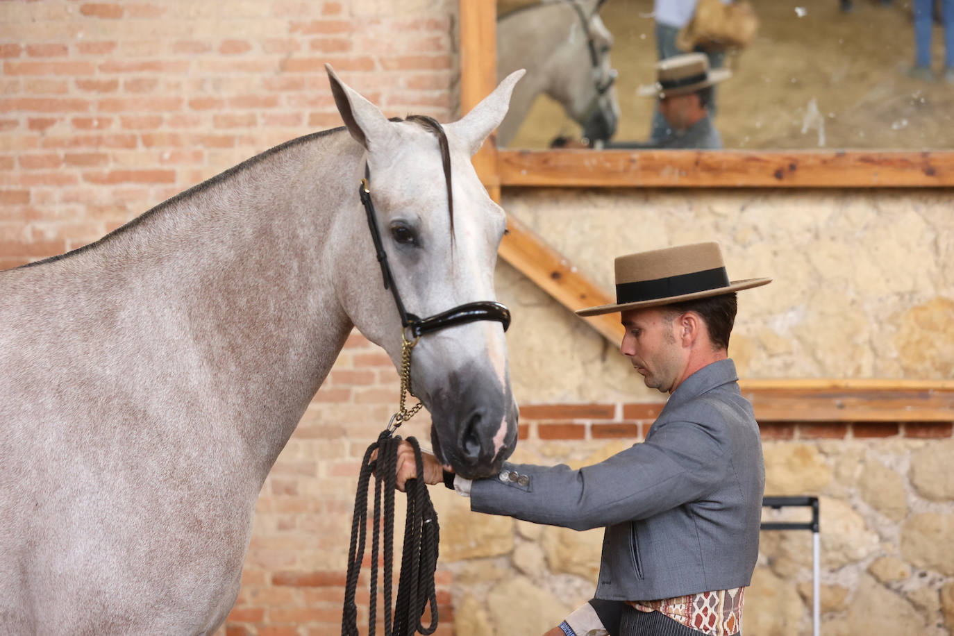 El Concurso Morfológico de caballos &#039;Ciudad de Córdoba&#039;, en imágenes