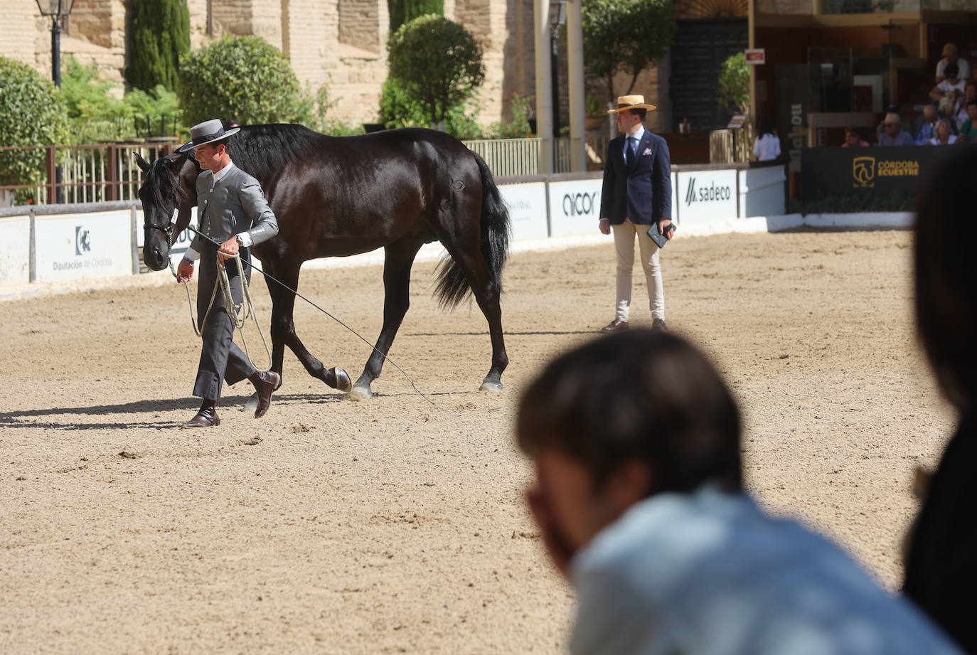 El Concurso Morfológico de caballos &#039;Ciudad de Córdoba&#039;, en imágenes