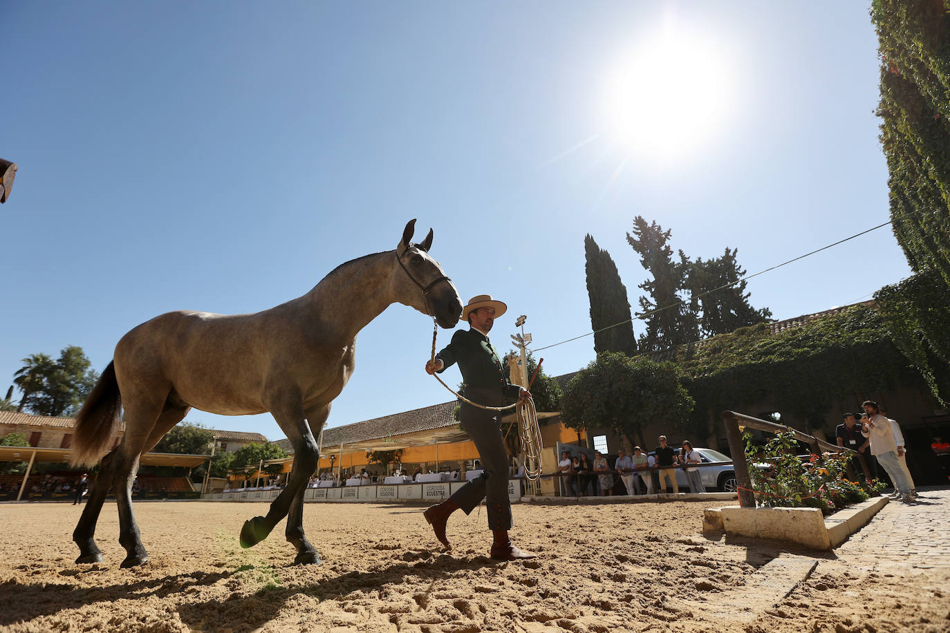 El Concurso Morfológico de caballos &#039;Ciudad de Córdoba&#039;, en imágenes