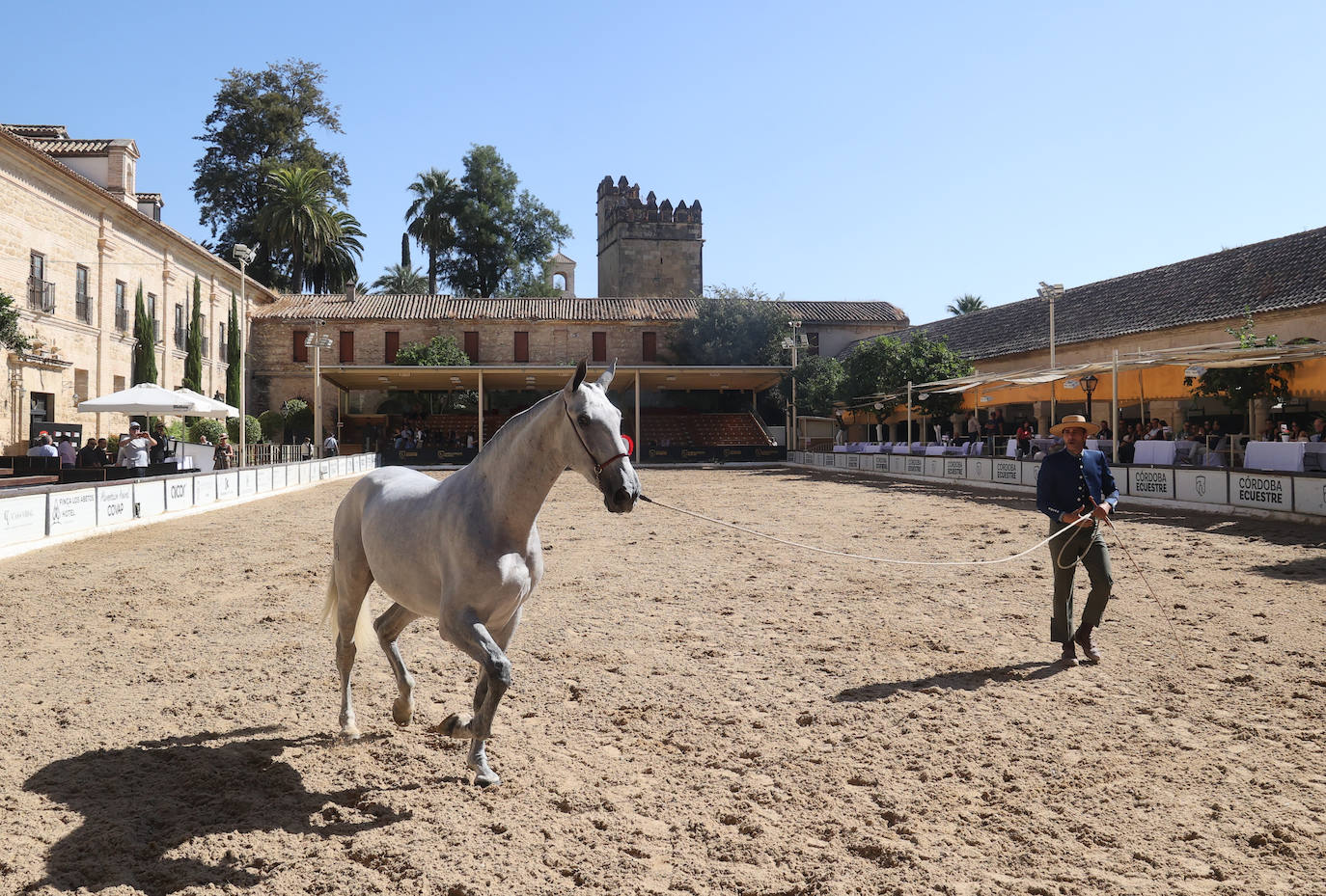 El Concurso Morfológico de caballos &#039;Ciudad de Córdoba&#039;, en imágenes