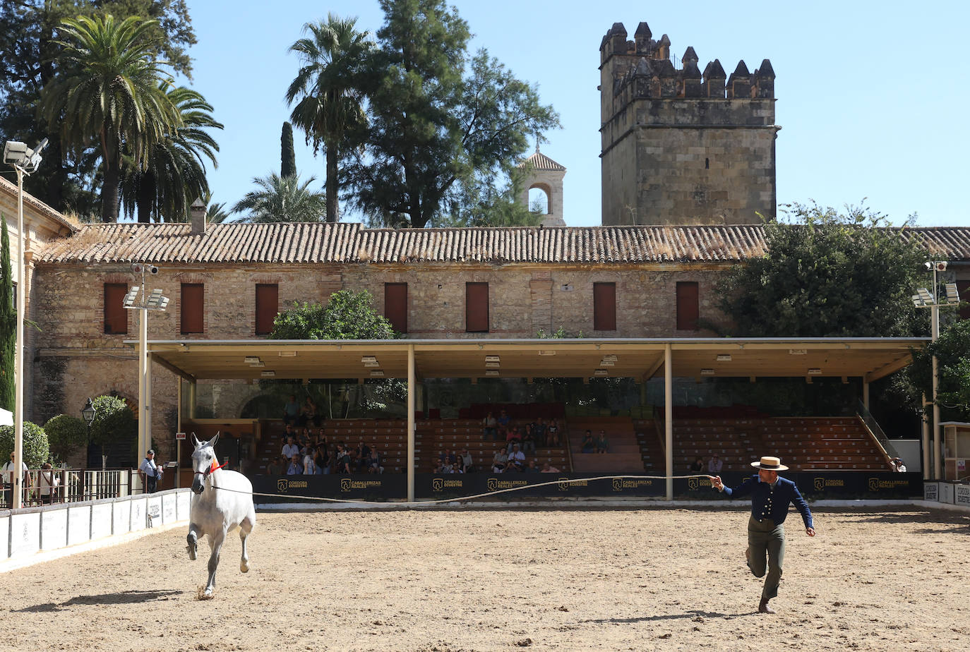 El Concurso Morfológico de caballos &#039;Ciudad de Córdoba&#039;, en imágenes