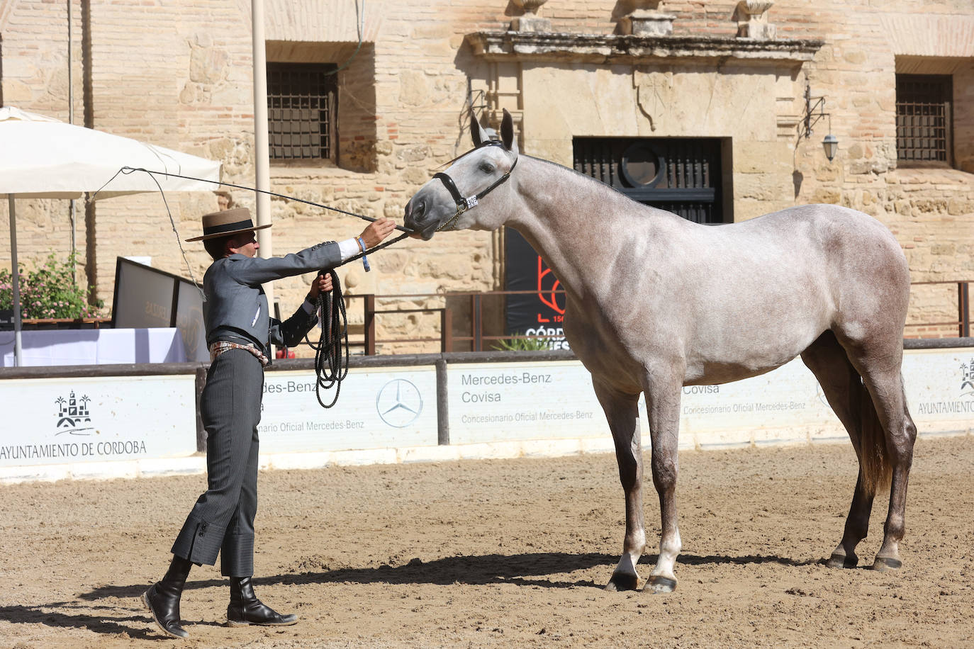 El Concurso Morfológico de caballos &#039;Ciudad de Córdoba&#039;, en imágenes