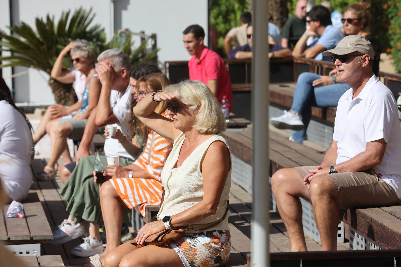 El Concurso Morfológico de caballos &#039;Ciudad de Córdoba&#039;, en imágenes