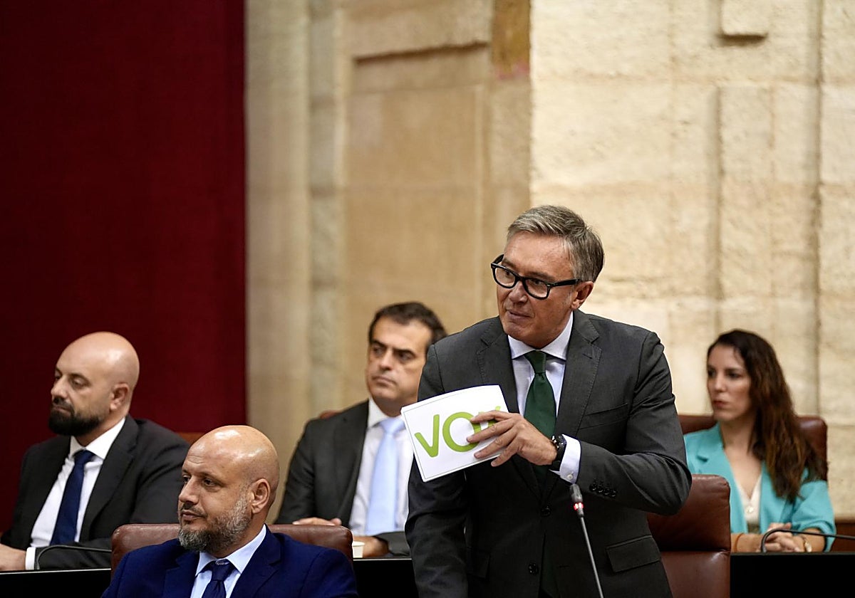 El portavoz de Vox, Manuel Gavira en el Parlamento