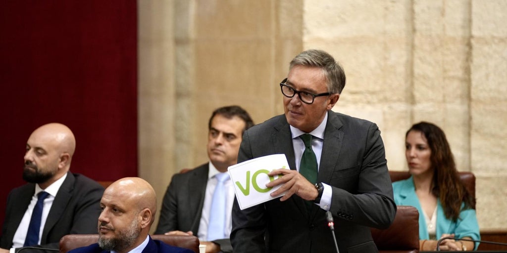 Vox en el Parlamento: «No nacen niños y van a llenar Andalucía de moros»