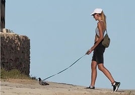 El vídeo viral de una joven que pasea a una paloma atada como una mascota en Torrevieja