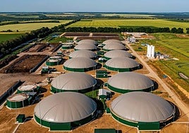 Las plantas de biometano en Jaén enfrentan a olivareros y vecinos