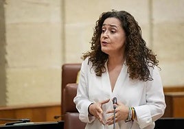 Nieto espera que Por Andalucía tenga «en dos meses» candidato para la Junta: «No podemos hacerlo igual que hace cuatro años»