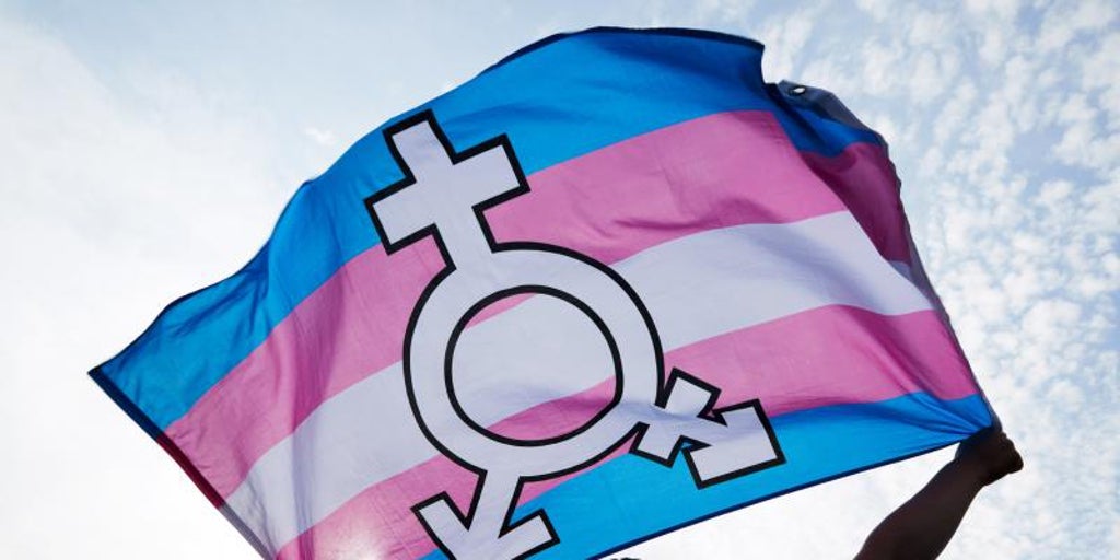 El Constitucional admite a trámite el recurso contra la reforma de la 'ley trans' valenciana